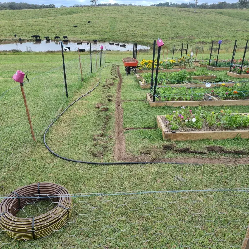 Self-Watering Systems