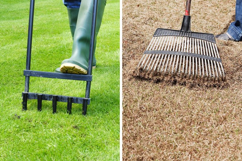 Remove Thatch and Aerate