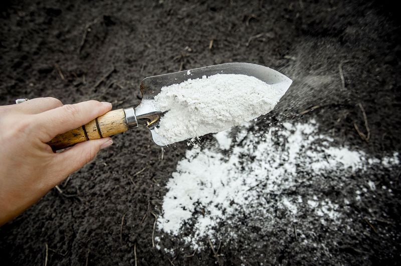 Raising PH In Overly Acidic Soil