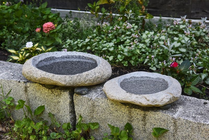Shallow Dish Birdbaths