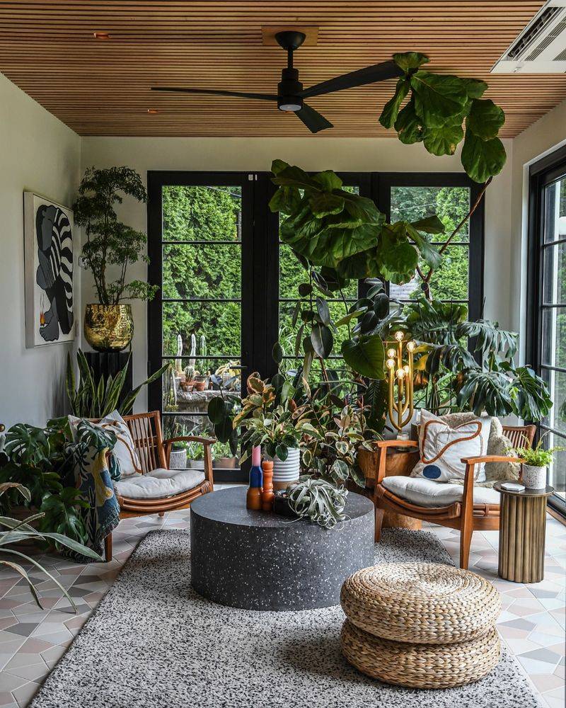 Sunroom Premium Skyrockets