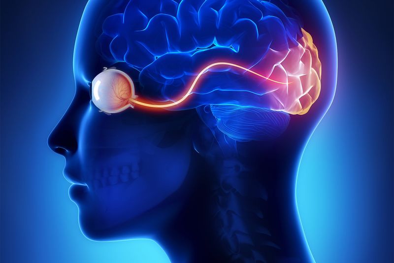 Why Our Brains Skip the Green