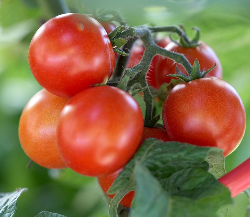 How Fertilizers Affect Soil PH