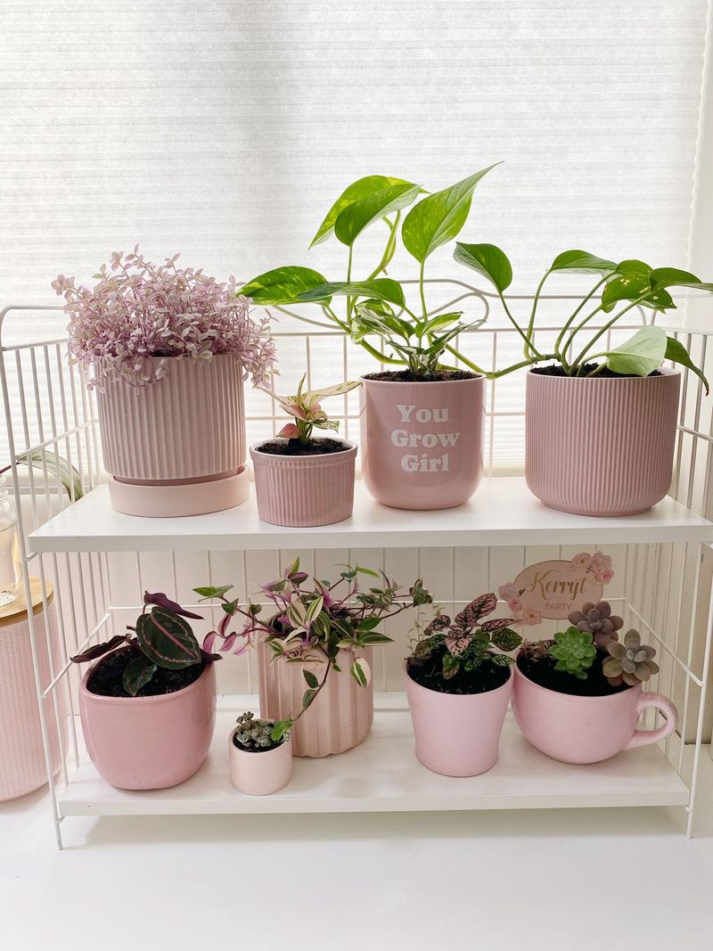 Color Block With Pots