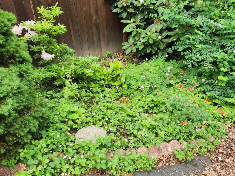 They Create Microclimate Diversity