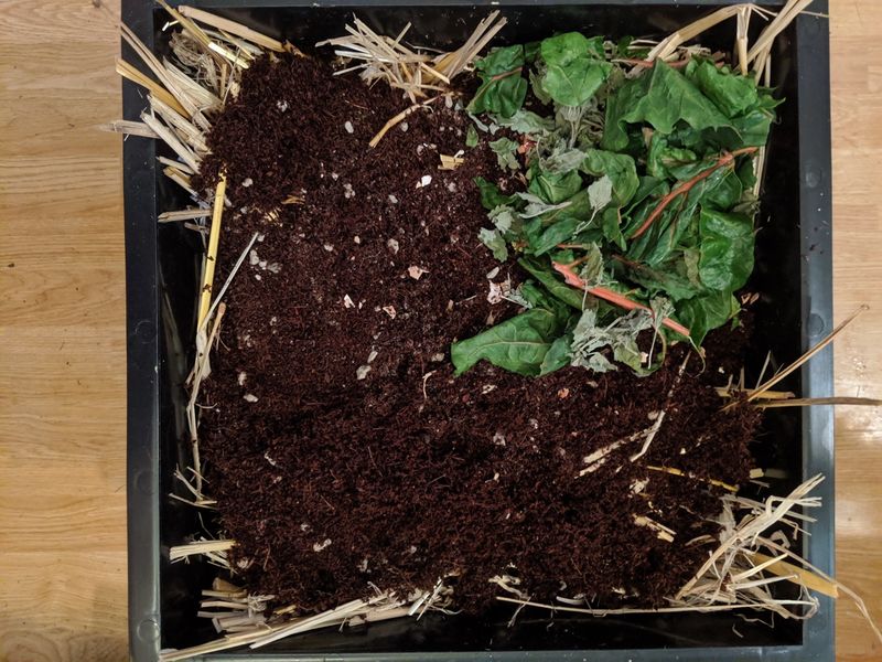 They Protect Beneficial Fungi Networks