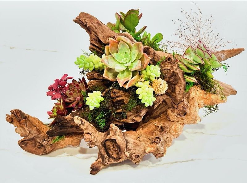 Driftwood Planter Garden