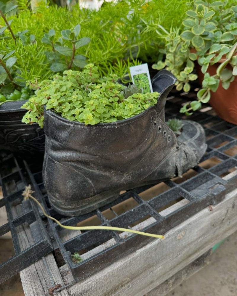 Boot Flower Pots