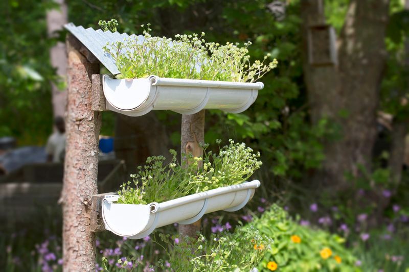 Gutter Gardens