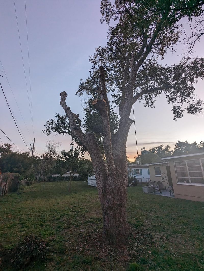 Directly Above Utility Lines