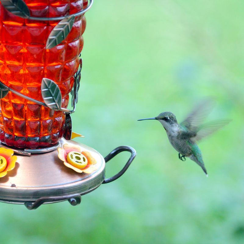 Irregular Feeder Maintenance