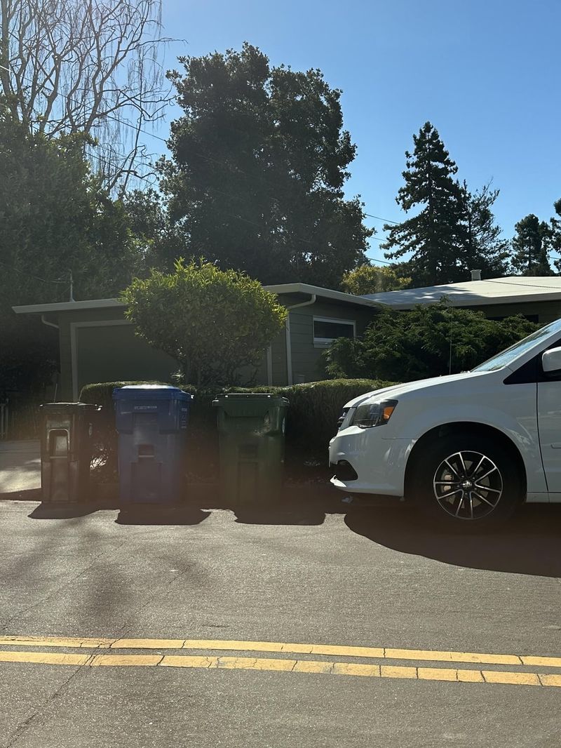 Uncontained Trash Bins