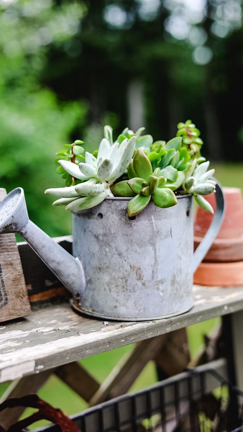 Vintage Metal Watering Cans