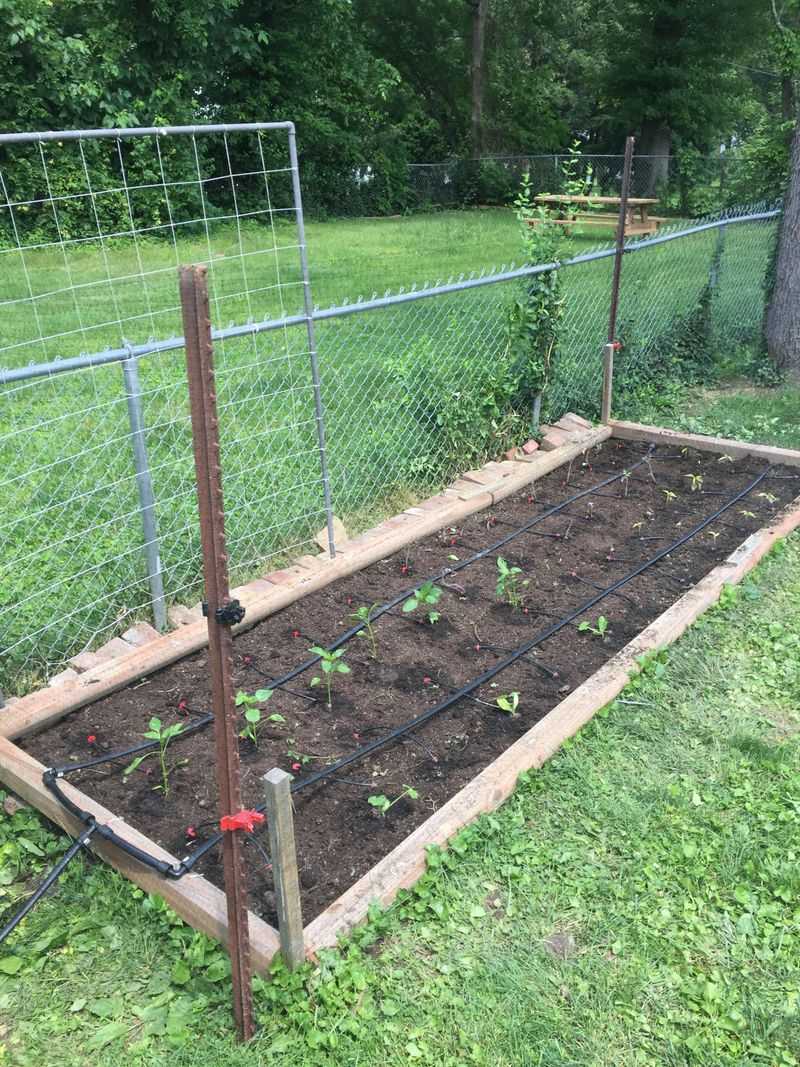 Install Drip Irrigation