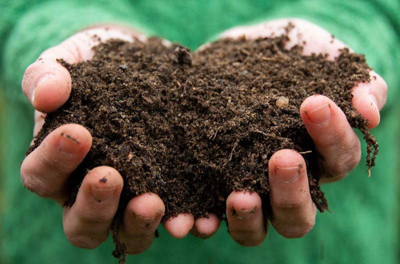Maintain Healthy Soil