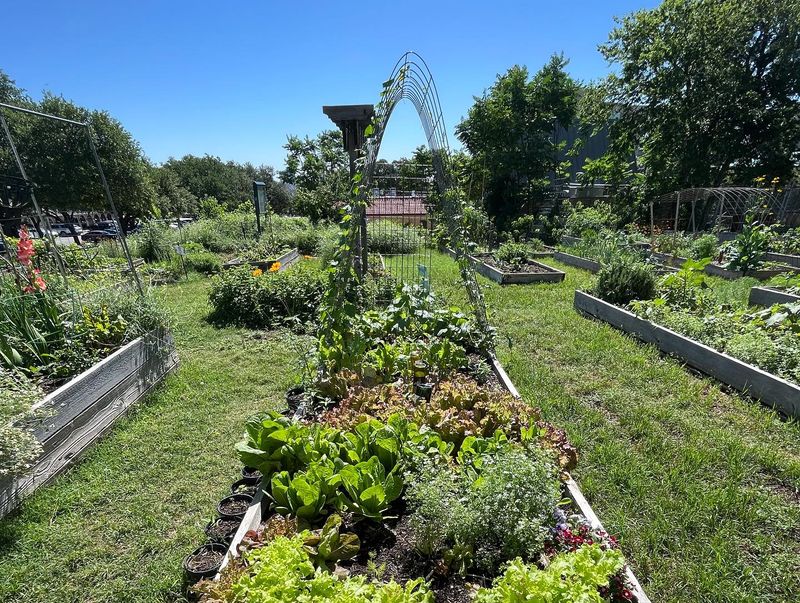 Join a Community Garden