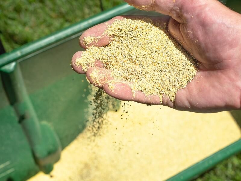 Apply Corn Gluten Meal