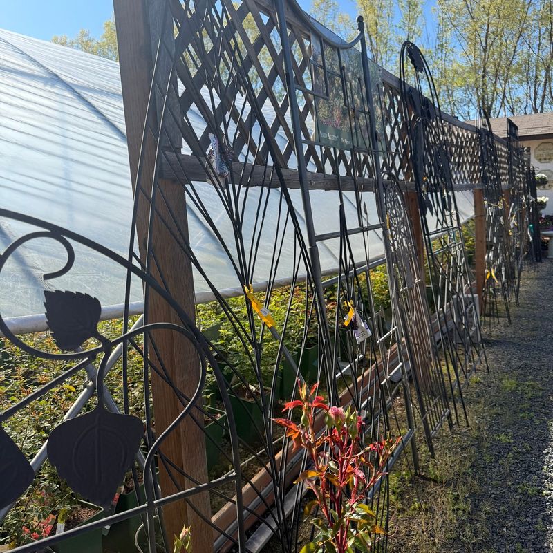 Install Decorative Plant Hoops