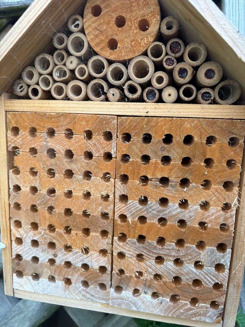 Insect Hotels
