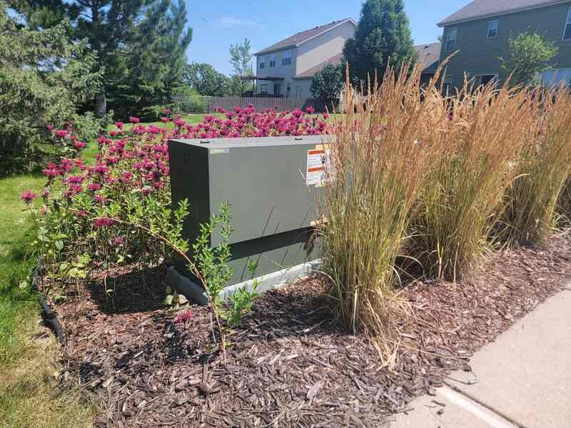 Utility Box Disguise With Ornamental Grasses