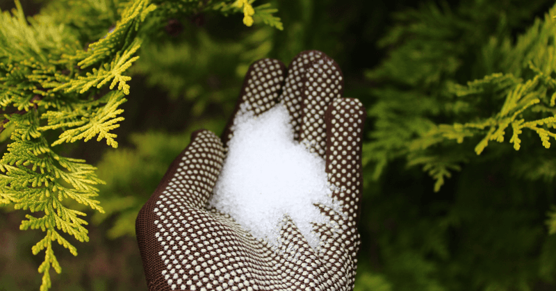 Epsom Salt Barrier