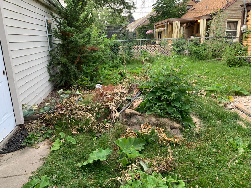 Debris-Filled Yard Art