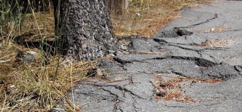 Too Close To Your Driveway