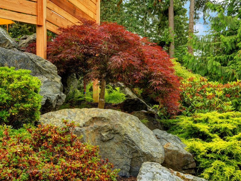Rock Garden Integration