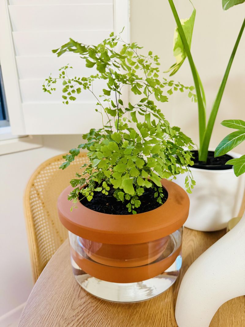 Master Watering Techniques