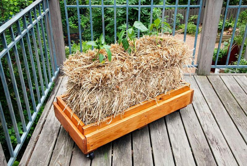 Straw Bales