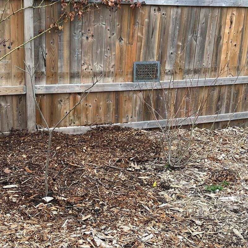Neglected Fencing