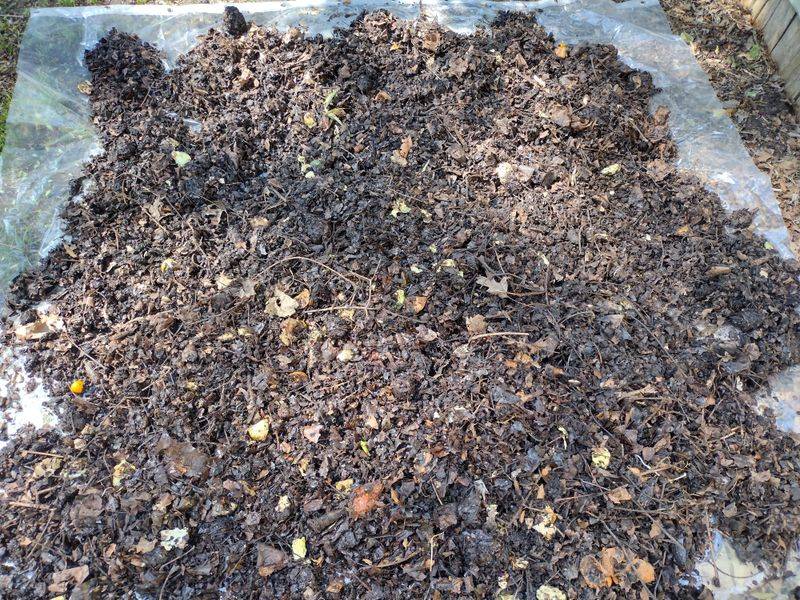 Too Wet and Slimy - The Soggy Compost Blues