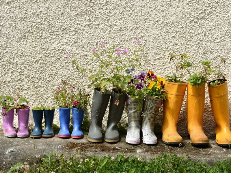 Rain Boot Hanging Garden