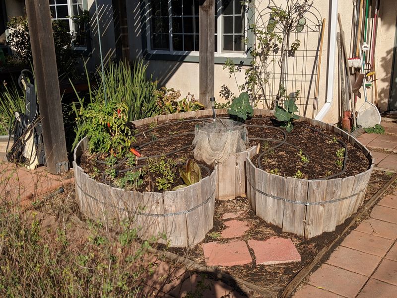 Keyhole Garden Beds