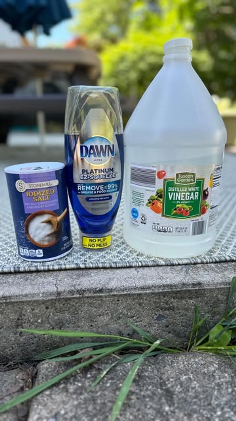 Apply Vinegar Solutions