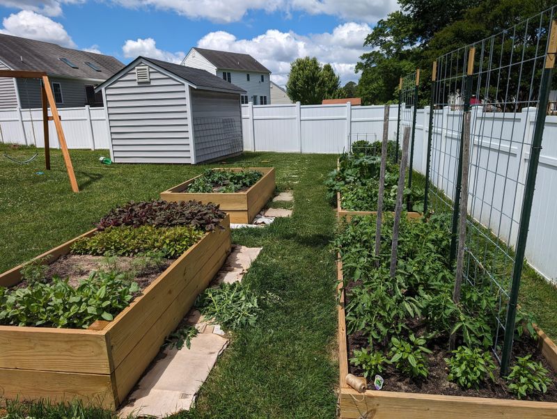 Maintain Proper Soil Levels