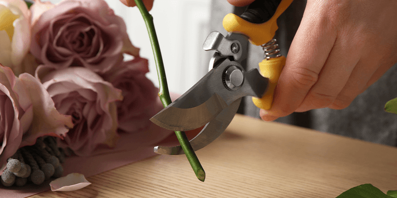 Recut Stems Every Other Day