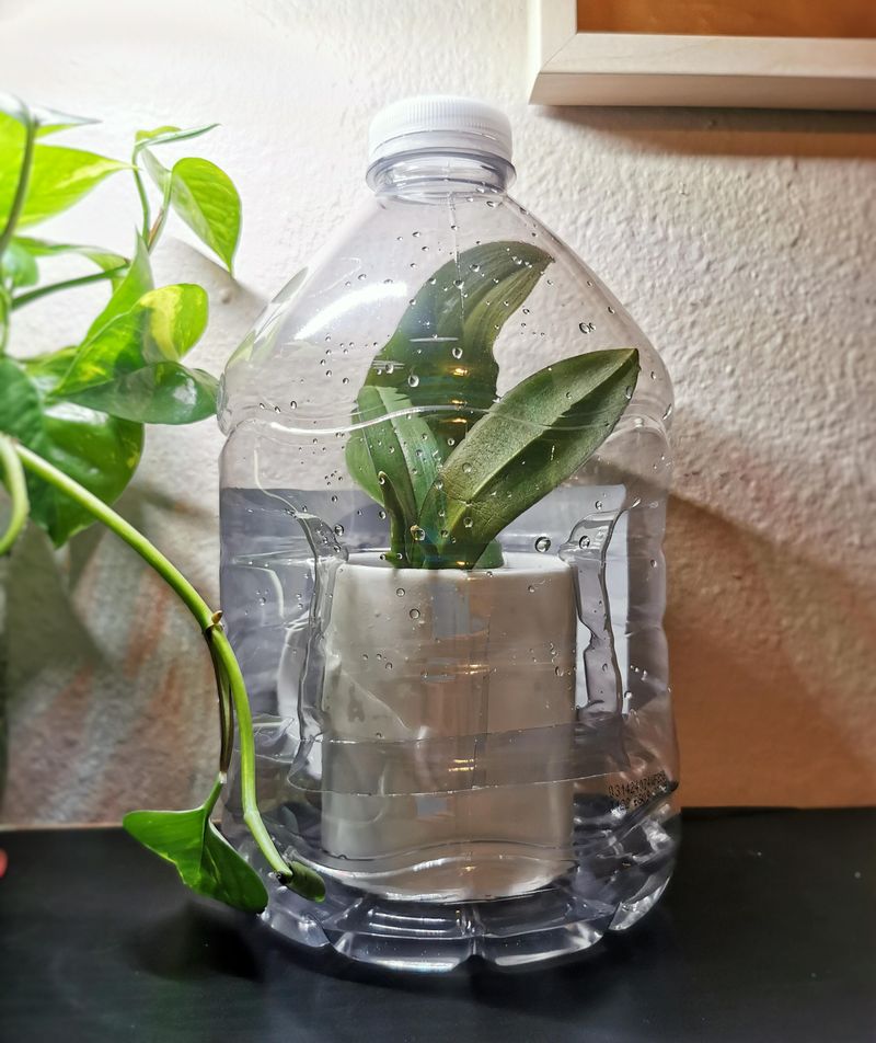 Create Mini Greenhouse Effect