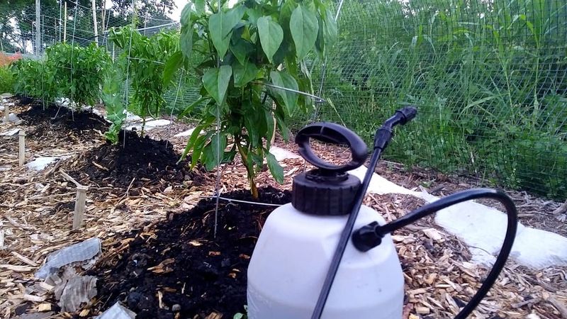 Foliar Spray for Plant Leaves