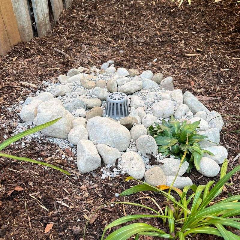 Create Water-Catching Basins