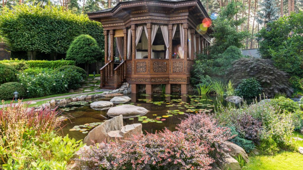 pond and plants with flowers