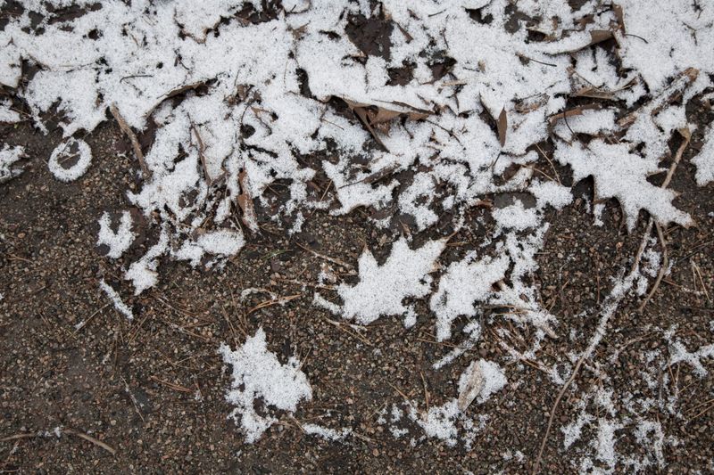 Complicated Winter Burials