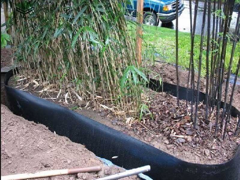 Install Underground Root Barriers