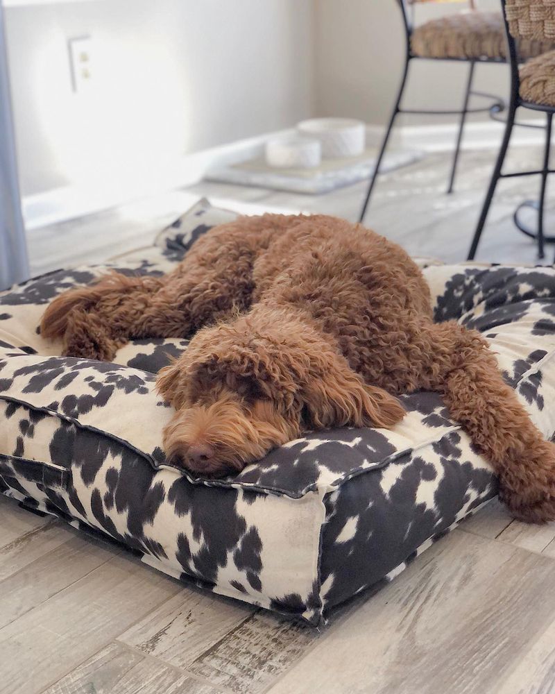 Pet Bed from Cushioned Furniture