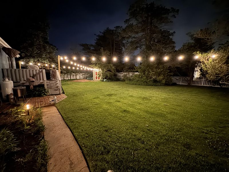 Statement Lighting