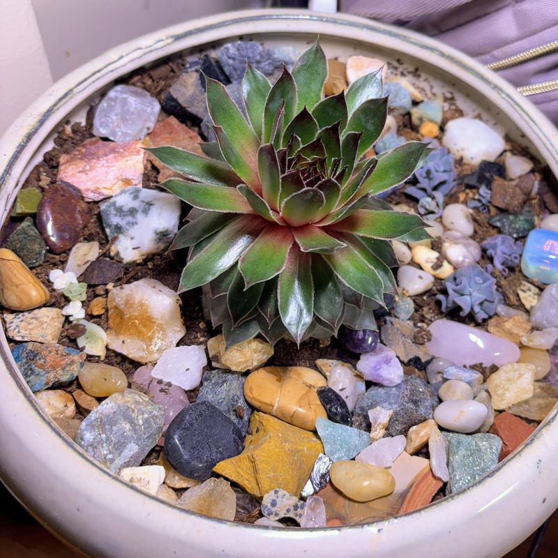 Rock Garden Integration