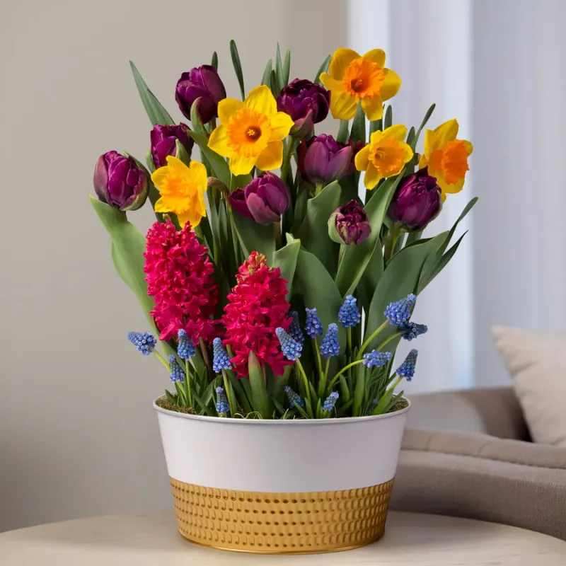 Seasonal Bulb Rotation