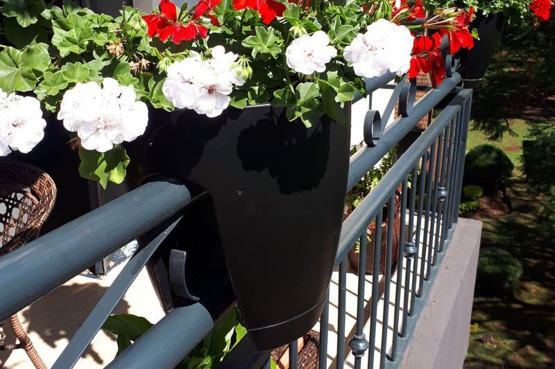 Railing Planters