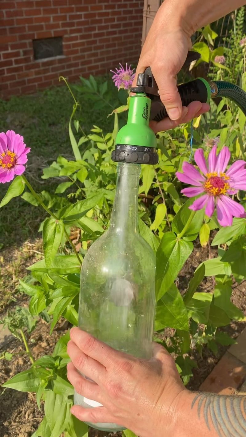Wine Bottle Irrigation System