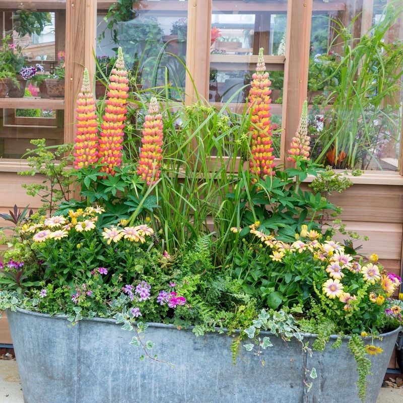 Repurposed Containers